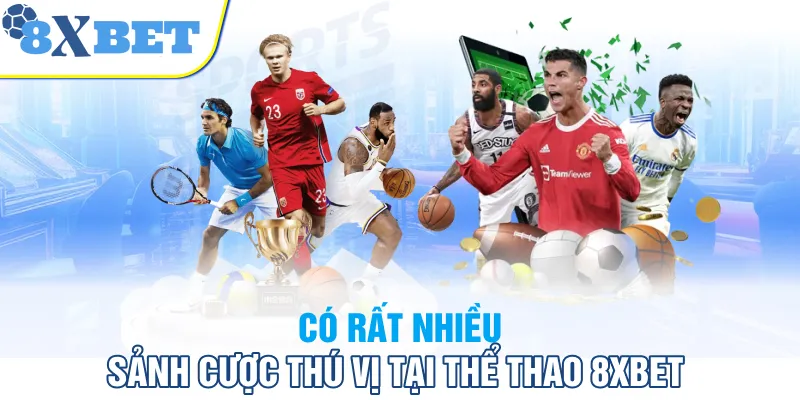 Có rất nhiều sảnh cược thú vị tại thể thao 8XBET